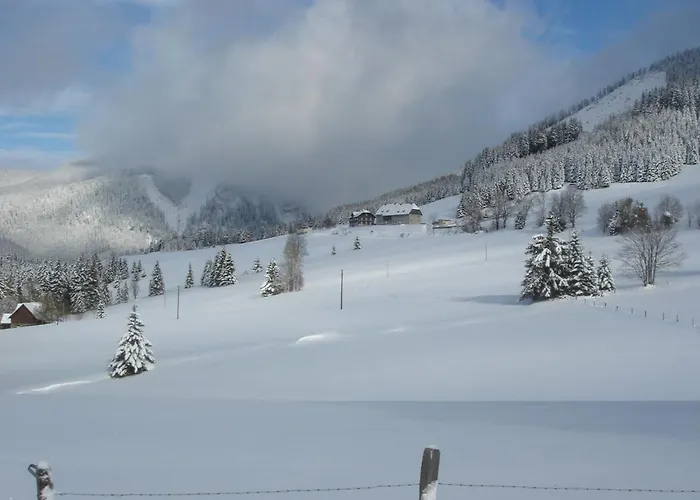 In Styria With Sauna Хоэнтауэрн